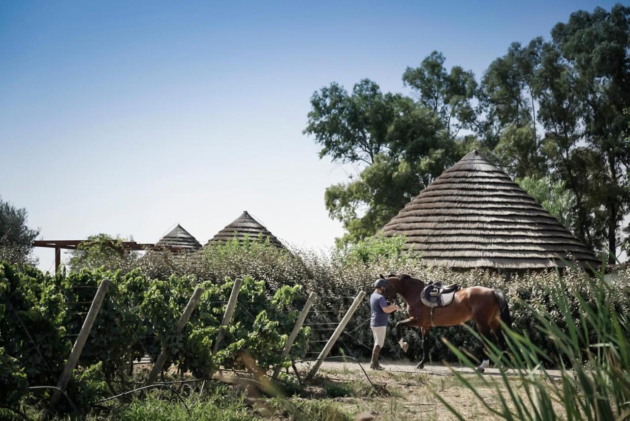 Is Cheas Wine Farm Boutique Hotel San Vero Milis Экстерьер фото