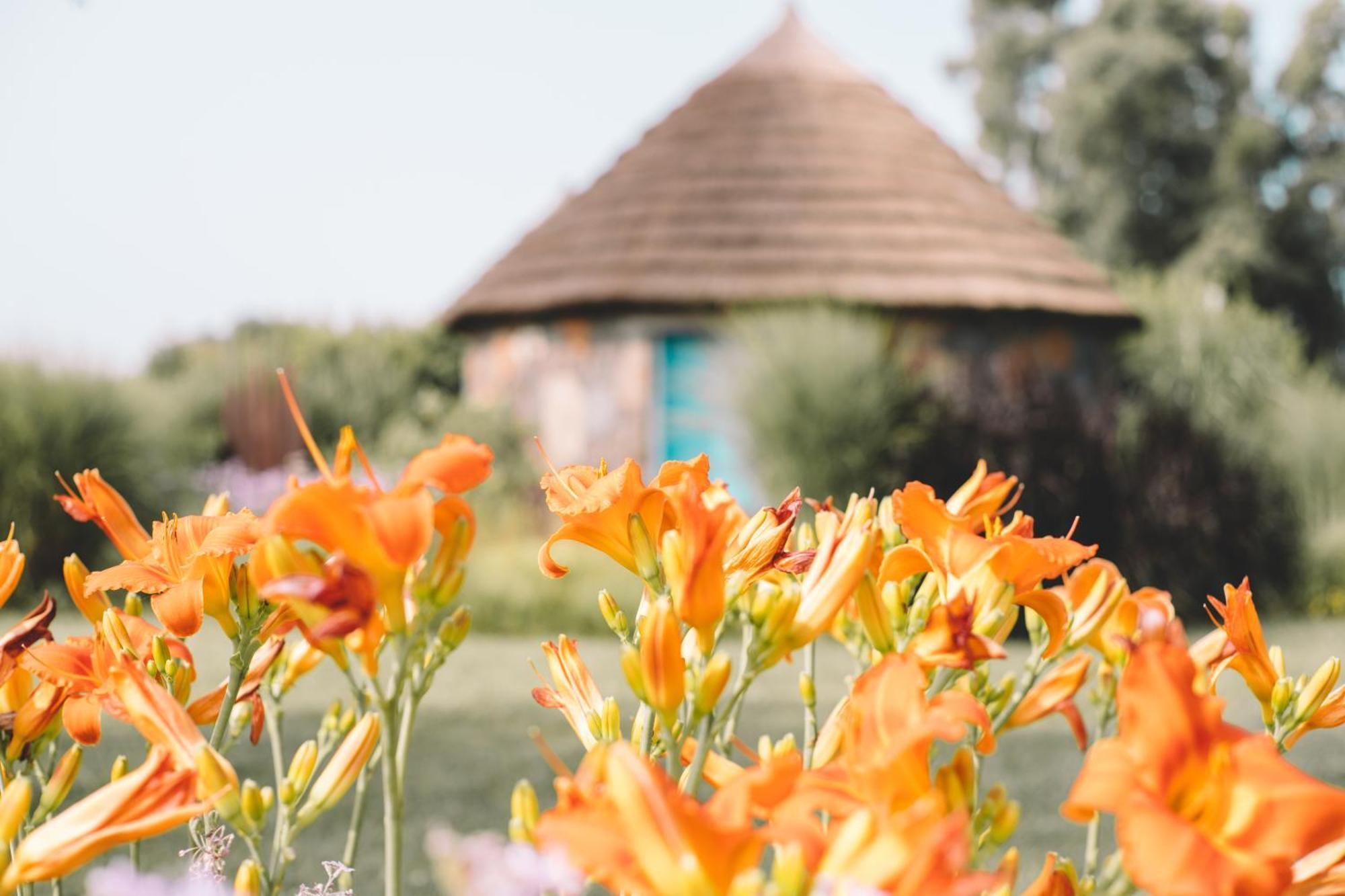 Is Cheas Wine Farm Boutique Hotel San Vero Milis Номер фото